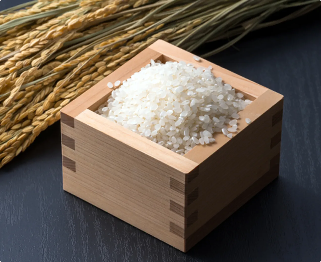 枡に盛られた収穫したばかりの白米と稲穂